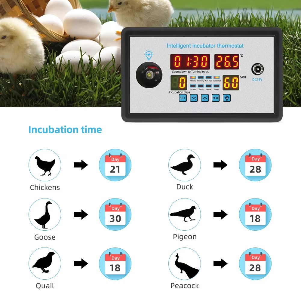 Poultry Incubator - ZFX-W9002 12 V/220 V Ei Incubator