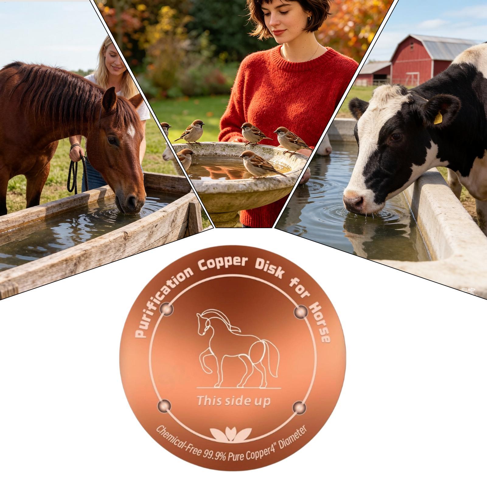 Farming A - 4 inch koperen zuiveringsplaat voor drinkbakken,