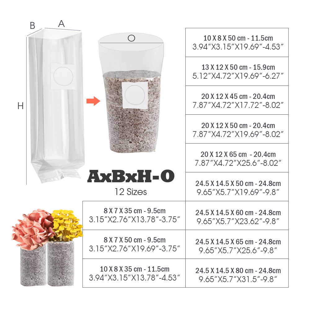 10 stuks 0,08 mm dikke PP auto - Mushroom Spawn Bag recensie en prijs