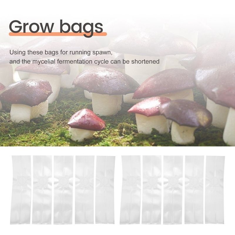 SEWS-100PCS Roggekorrelvruchte - Mushroom Spawn Bag recensie en prijs