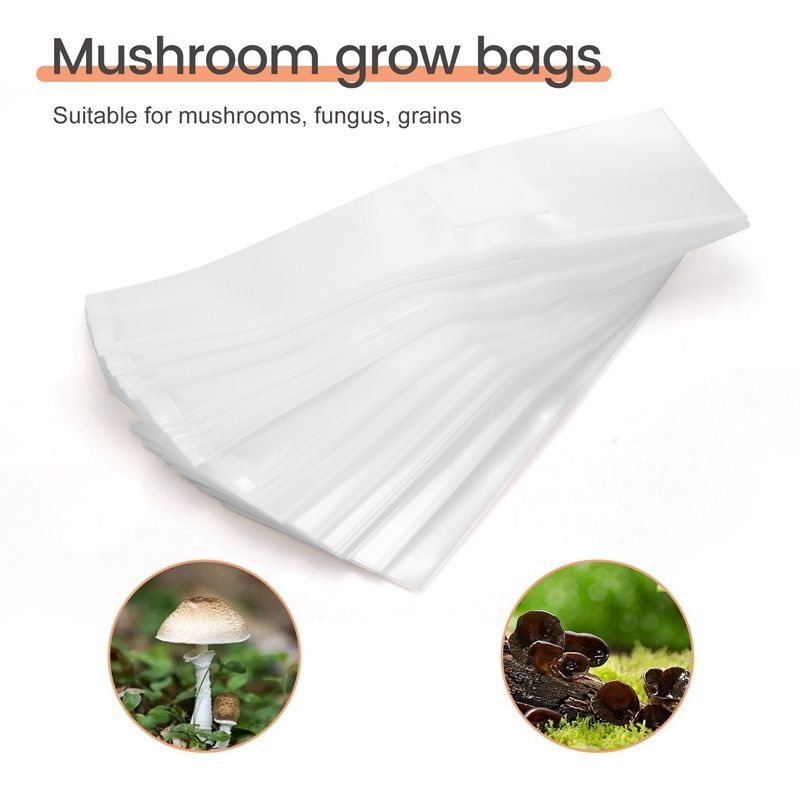 SEWS-100PCS Roggekorrelvruchte - Mushroom Spawn Bag recensie en prijs