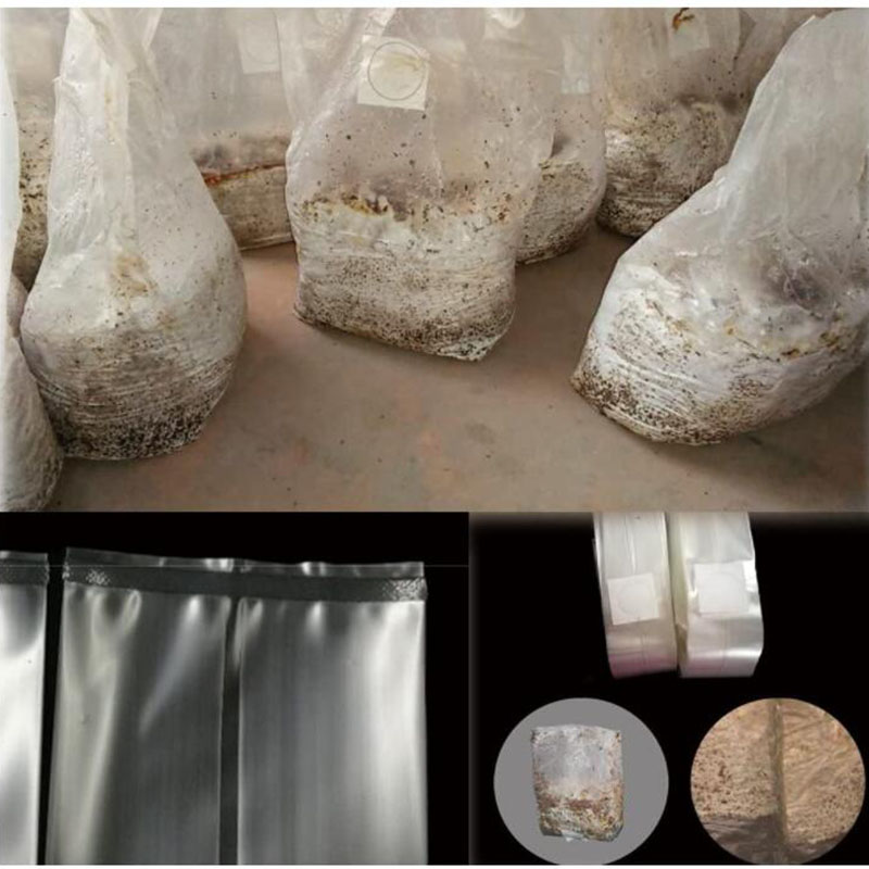 10x18x35cm 50cm paddestoel Spa - Mushroom Spawn Bag recensie en prijs