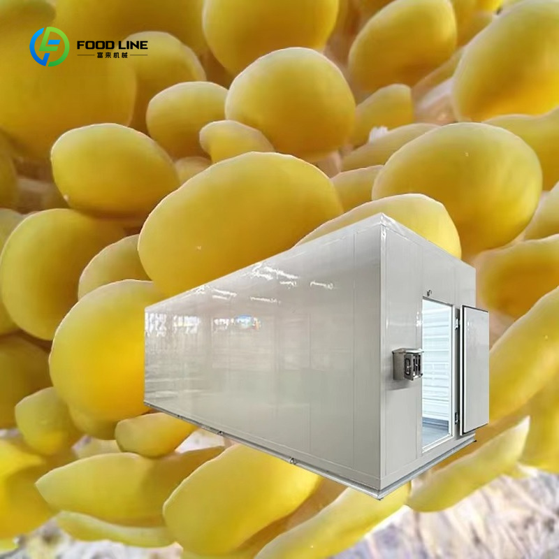 Slimme champignonkweekcapsule, - Smart Farming Technology In Agriculture recensie en prijs