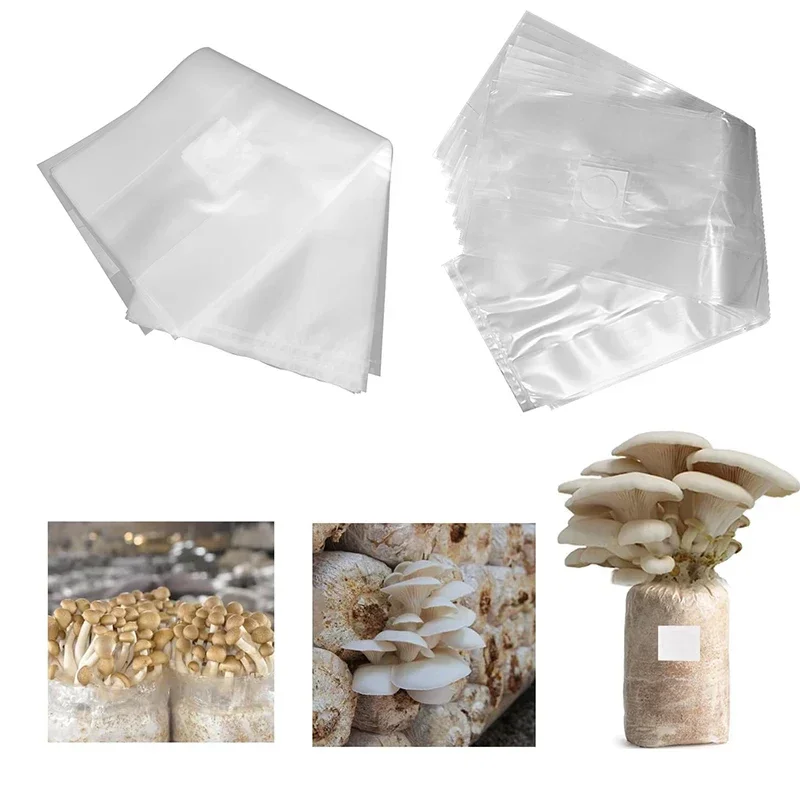 10/20 stuks paddenstoelenteelt - Mushroom Spawn Bag recensie en prijs