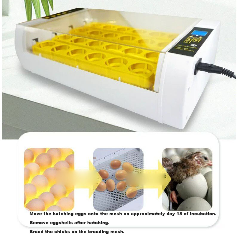 Volautomatische ei-incubator m - Poultry Incubator recensie en prijs
