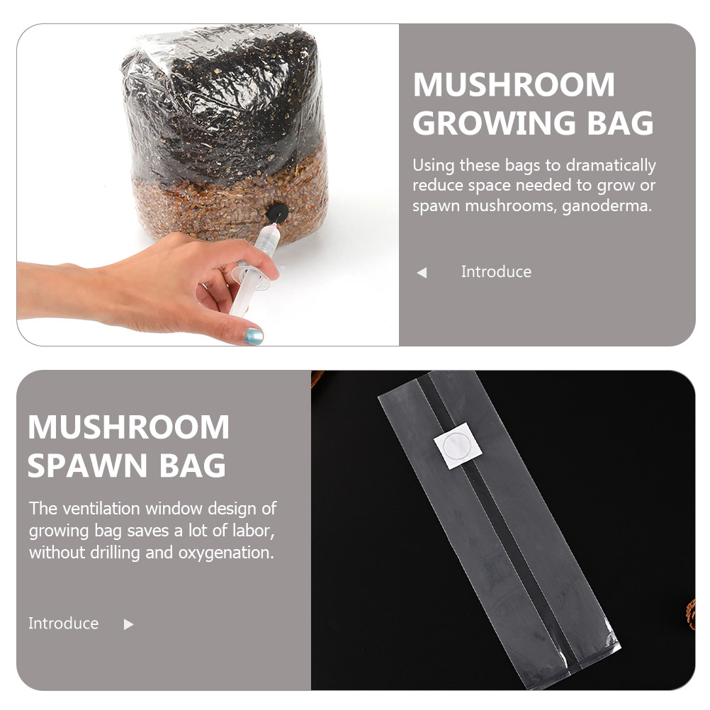 20 stuks champignonkweekzakken - Mushroom Spawn Bag recensie en prijs
