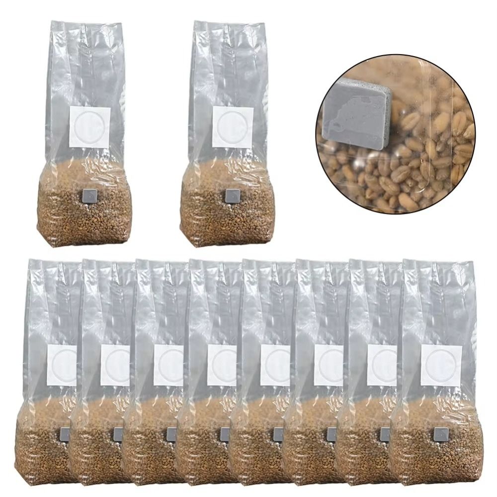 50 Stuks Pp Paddestoel Plantza - Mushroom Spawn Bag recensie en prijs