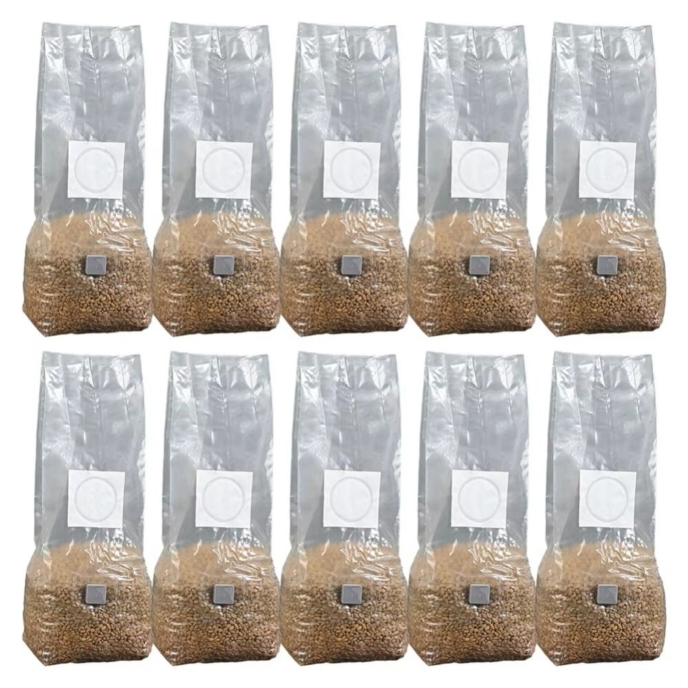 50 Stuks Pp Paddestoel Plantza - Mushroom Spawn Bag recensie en prijs