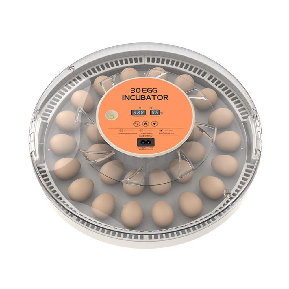 Kleine automatische pluimvee-b - Poultry Incubator recensie en prijs