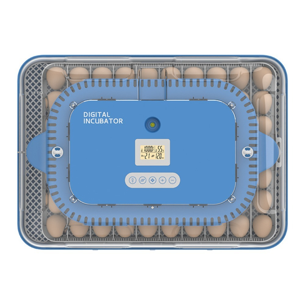 Kleine automatische pluimvee-b - Poultry Incubator recensie en prijs