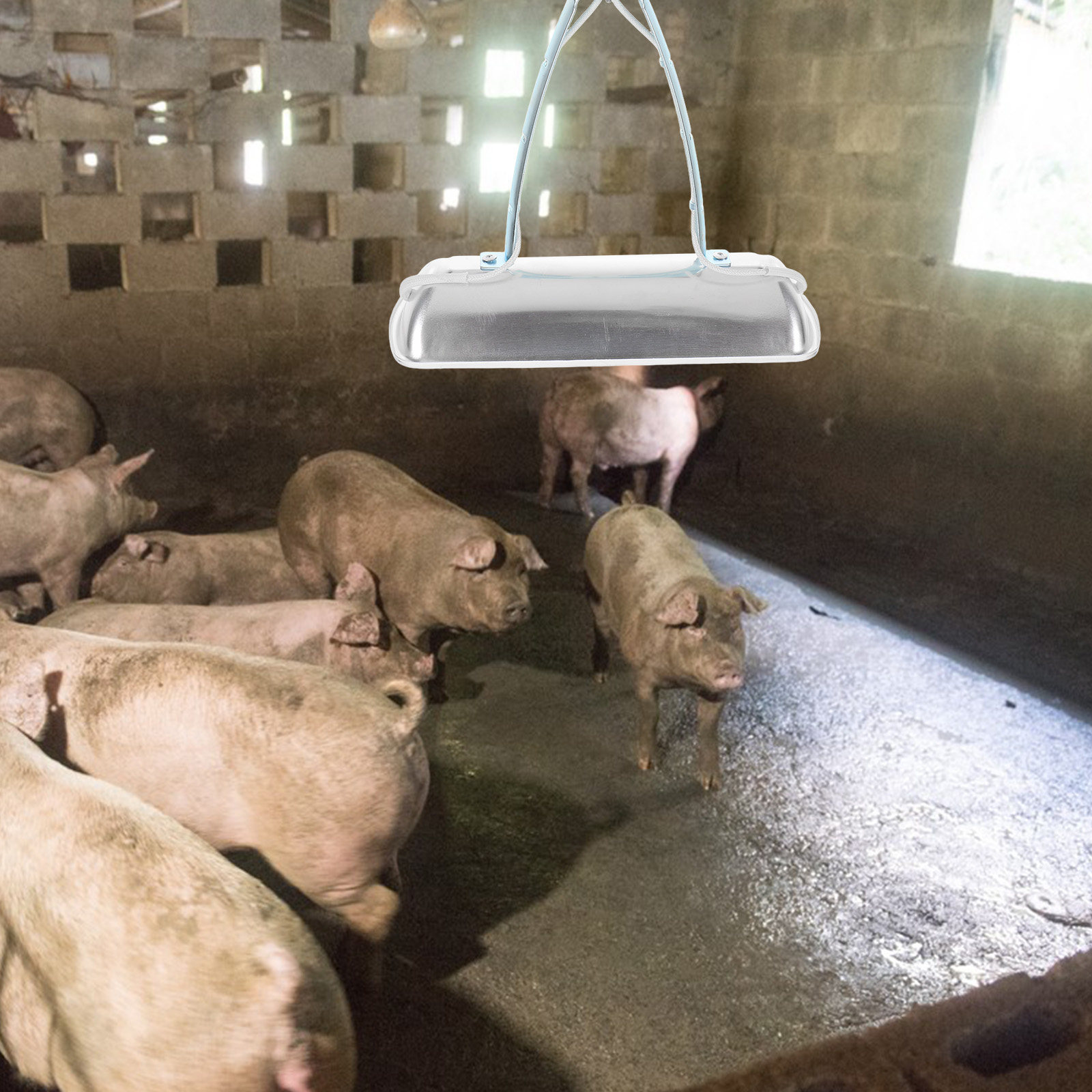 Varkenshouderij-bewaarlamp, ki - Farming A recensie en prijs